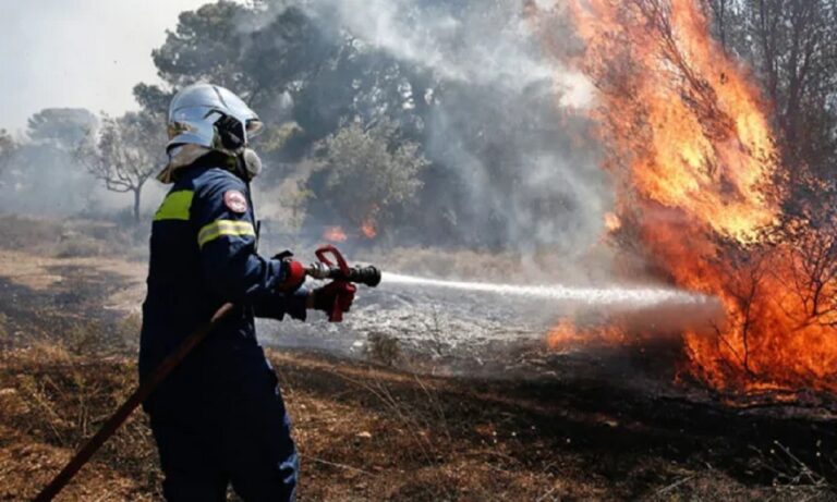 Συνελήφθη Τούρκος εμπρηστής για τη φωτιά στο όρος Αιγάλεω - Είχε βάλει τρεις φωτιές σε έναν μήνα
